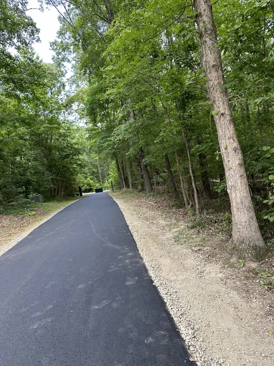 5 Signs It’s Time to Replace Your Asphalt Driveway in Henderson — E Wells Paving resource